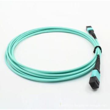 MTP MPO Om3 Aqua 12cores fibra óptica Patchcord